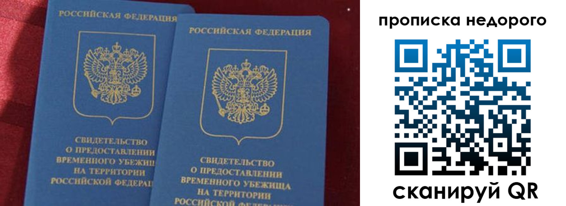 прописка гарантия в Кировске